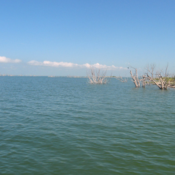 Presa Vicente Guerrero